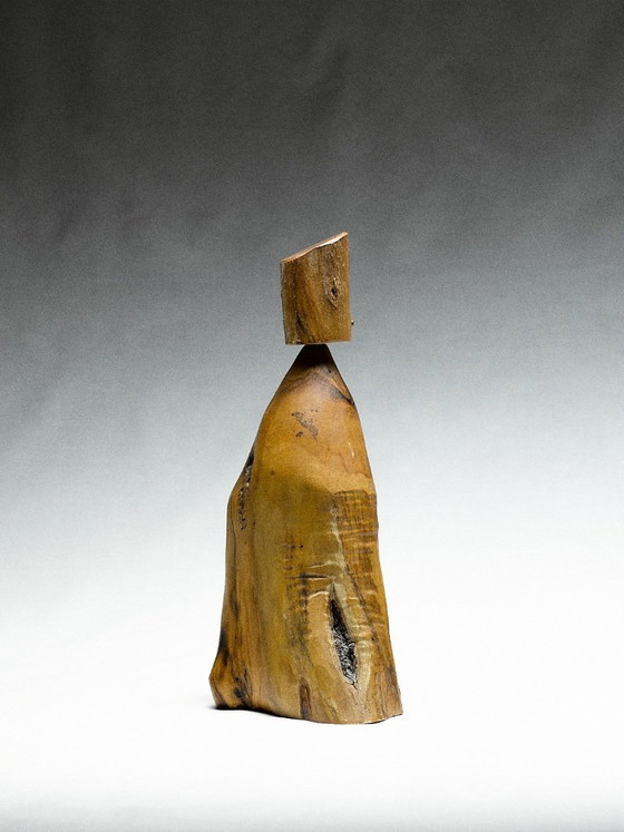 Image 1 of macinapepe brutalista