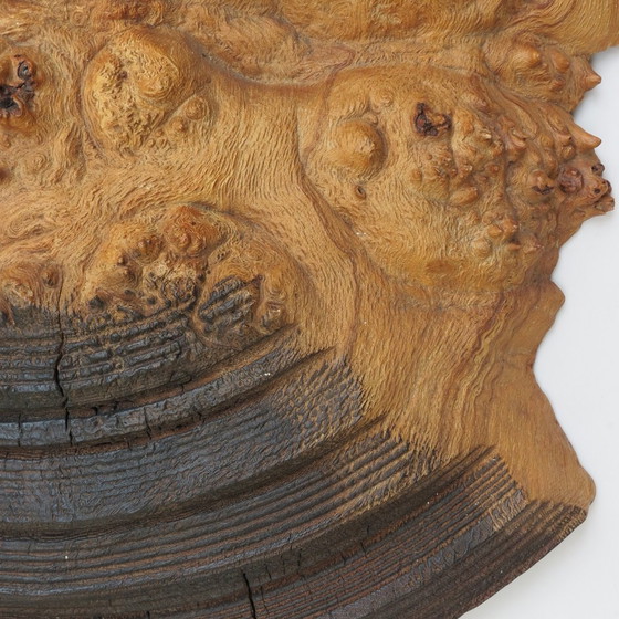 Image 1 of Wandsculptuur van wortelnotenhout handgemaakt door Mike Scott Chai