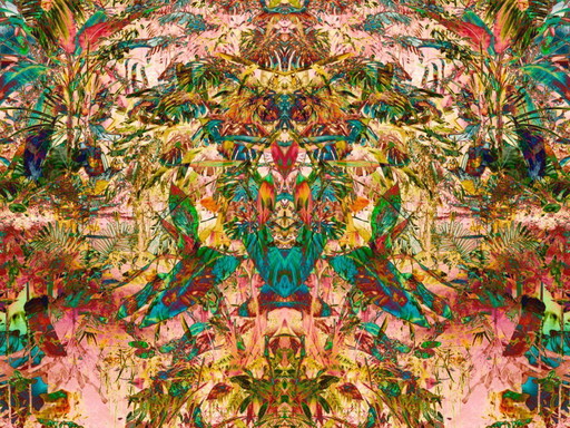 Série Plantes tropicales