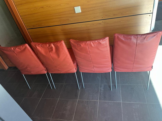 Image 1 of 4X Montis Face Dining Chairs by Gerard v d Berg