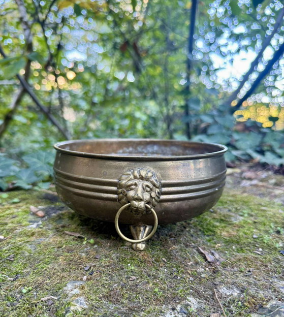 Jardinière leone in ottone del XIX secolo – Vasi per piante, Brass (photo 2 of 7)