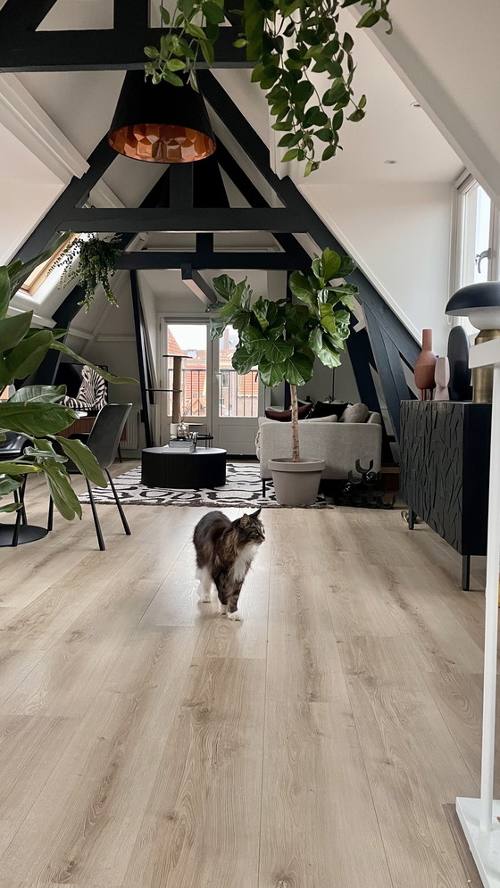 Image 1 of Osiris Hertman Lampes pendantes hexagonales