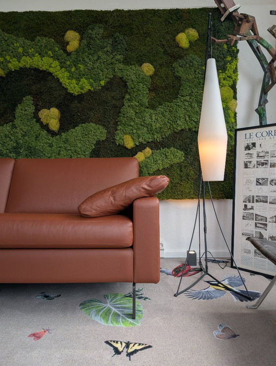 Image 1 of COR Conseta Sofa | F.W. MÖLLER *showroom*