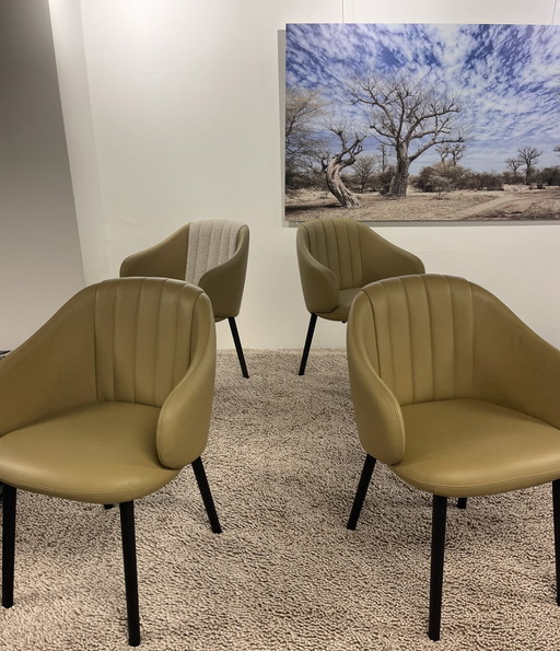 Sillas de comedor Leolux Baani (4)