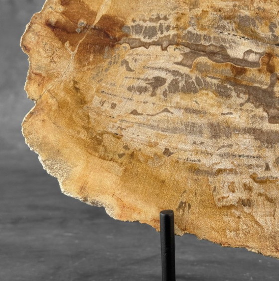 Image 1 of Madera fosilizada de Sooka, soporte hecho a medida (nuevo)