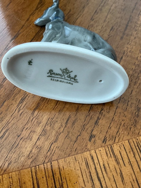 Image 1 of Pequeño whippet Hutsenreuter 1930