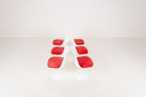 Set of 6 Tulip Dining Chairs by Maurice Burke for Arkana, England, 1960s