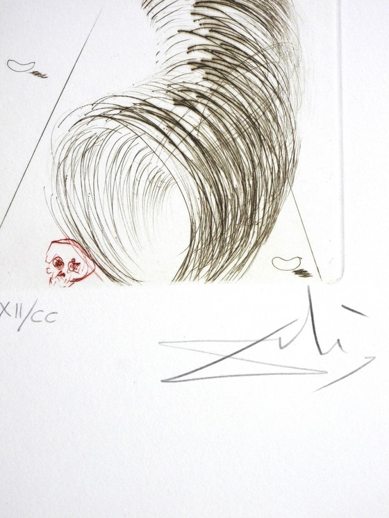 Image 1 of Salvador Dali (1904-1989) - Timon Of Athens