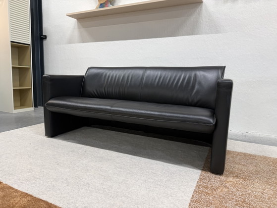 Divano Leolux Fiabo 2,5 posti in pelle nera – Divani 2 posti, Leather (photo 2 of 8)