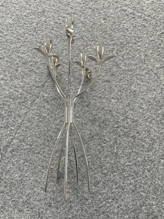 Image 1 of Candelabro Driade Antonietta, disegnato da Borek Sipek