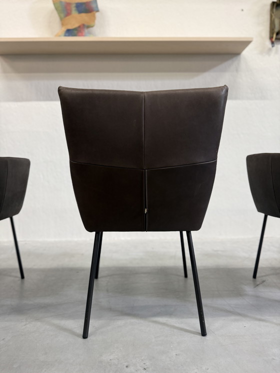 Image 1 of 4 Design on Stock Sedie da pranzo Moka in pelle Cabo Marron