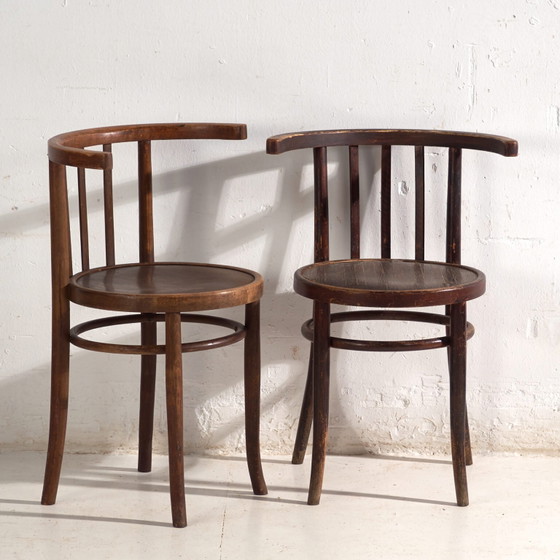 Antike Sessel im Thonet-Stil aus Bugholz – Mitteleuropa, circa 1930 - 2er-Set Stühle #3 (photo 8 of 40)