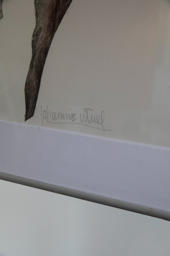 Image 1 of Mummie