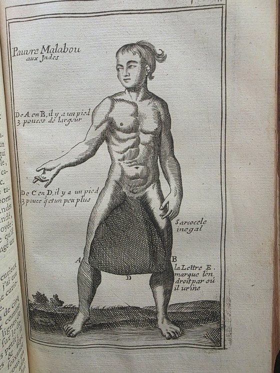 Libro de medicina del siglo XVIII con encuadernación en cuero (1777), de calidad museística, con grandes (photo 13 of 15)