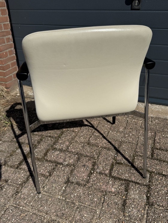 Image 1 of 4 Esszimmerstühle aus Leder Team by Wellis Farbe Beige/Schwarz neuwertig.