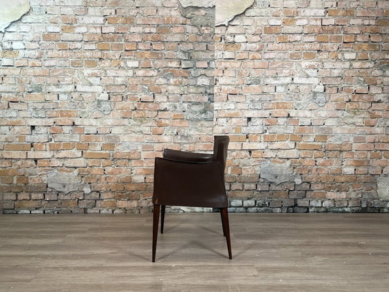 Matteo Grassi Vela Stühle 4er-Set – Braun | Carlo Bartoli – Esszimmerstühle, Leather, Wood (photo 9 of 11)