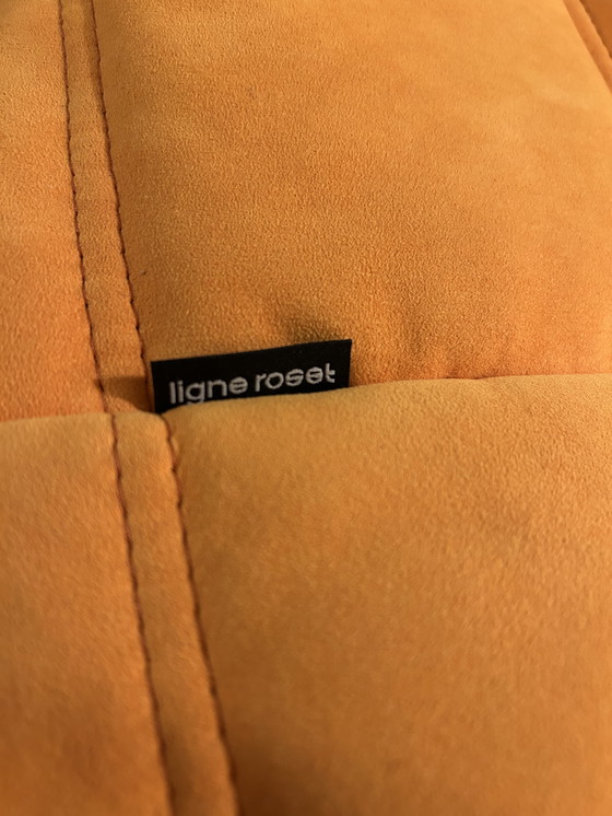 Image 1 of Sofá convertible Ligne Roset Togo (opcional)