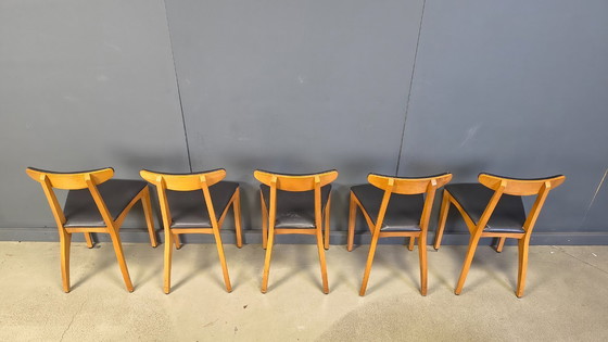 Image 1 of Mid century belgian dining chairs, set of 10, 1960s