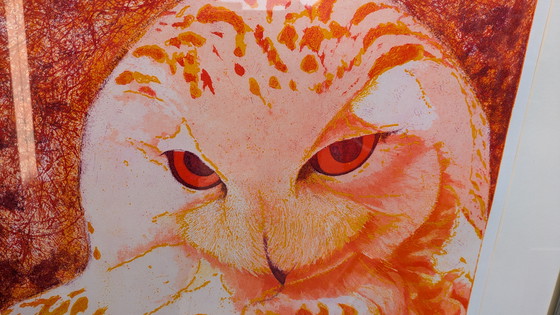 Image 1 of Large Coloring Set Snowy Owl Toni de Klerk