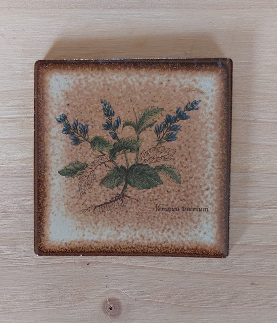 Image 1 of 16 confezioni da 6 piastrelle da parete in ceramica vintage con stampa botanica, anni '70