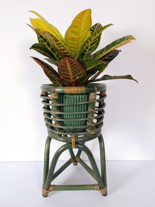 Vintage Bentwood Bamboo Plant Stand, Rattan Stand, MCM Decor