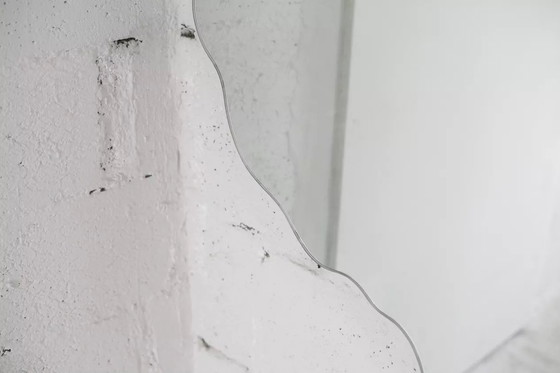 Image 1 of Mathias boomspiegel