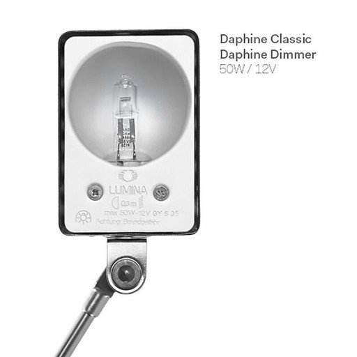 Lumina Daphine Terra Classic in Chrome ! Neu ! OVP !
