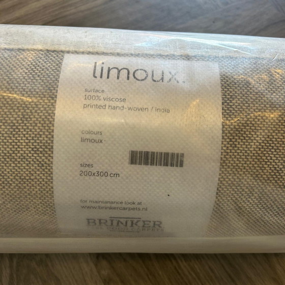 Image 1 of Tapis Brinker Carpets Limoux - 200x300