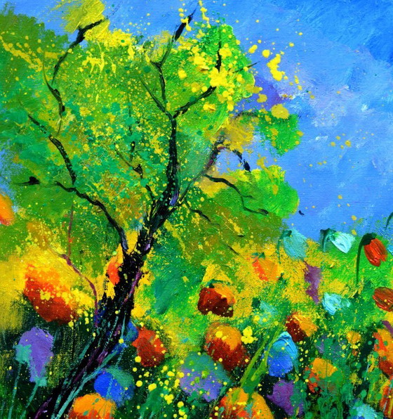 Image 1 of papaveri rossi