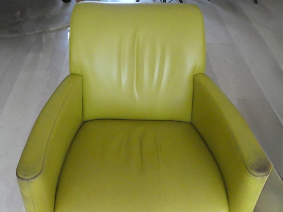 Leolux fauteuils, groen leer, Metaal, Modern (foto 8 van 12)