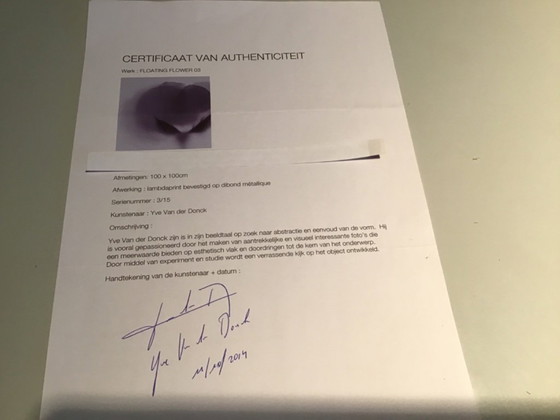 Image 1 of Impresión Dibond Yve van der Donck