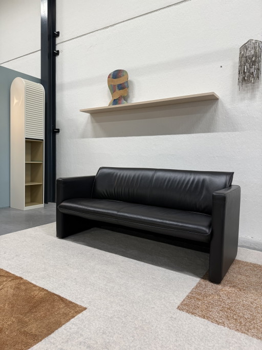 Leolux Fiabo 2,5-Sitzer Sofa Schwarzes Leder