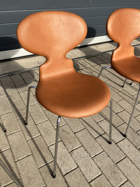 Image 1 of Fritz Hansen Ant (mier) chairs in Cognac leder NIEUWstaat!