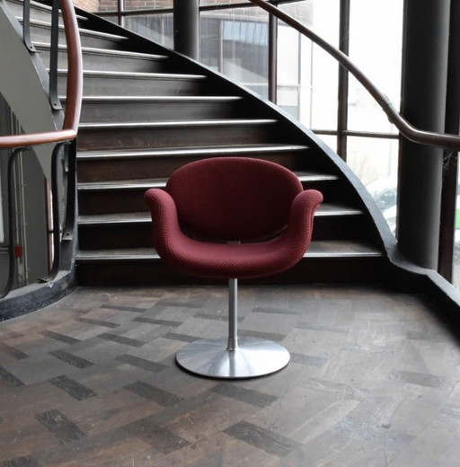Artifort Petite Tulipe – eetkamerstoelen, Textile