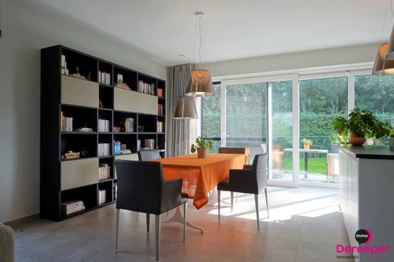 Lema Selecta Wandmeubel – Boekenkasten, lamine, Hout (photo 3 of 5)