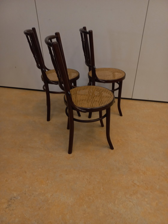 Image 1 of Satz von 3 Café-Stühlen im Thonet-Stil