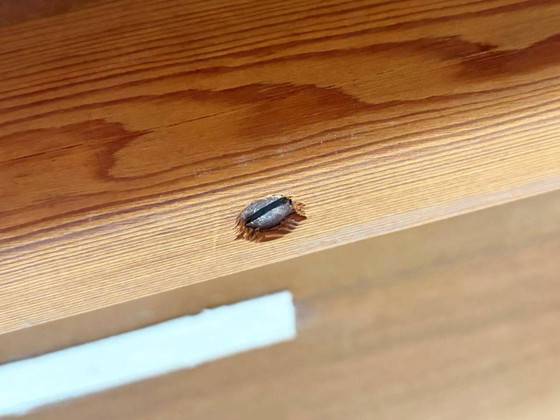 Image 1 of Table à manger danoise en teck par Erik Riisager Hansen pour Haslev Møbelsnedkeri, 1960