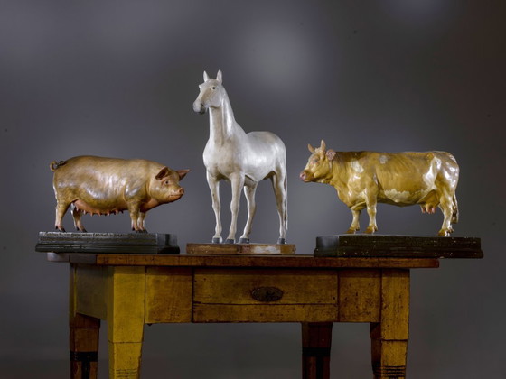 Image 1 of Modelo de vaca, Max Landsberg, 1881, Alemania