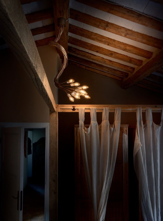 Catellani & Smith Turciù 9 Plafondlamp – Plafondlampen, Brass (photo 5 of 6)