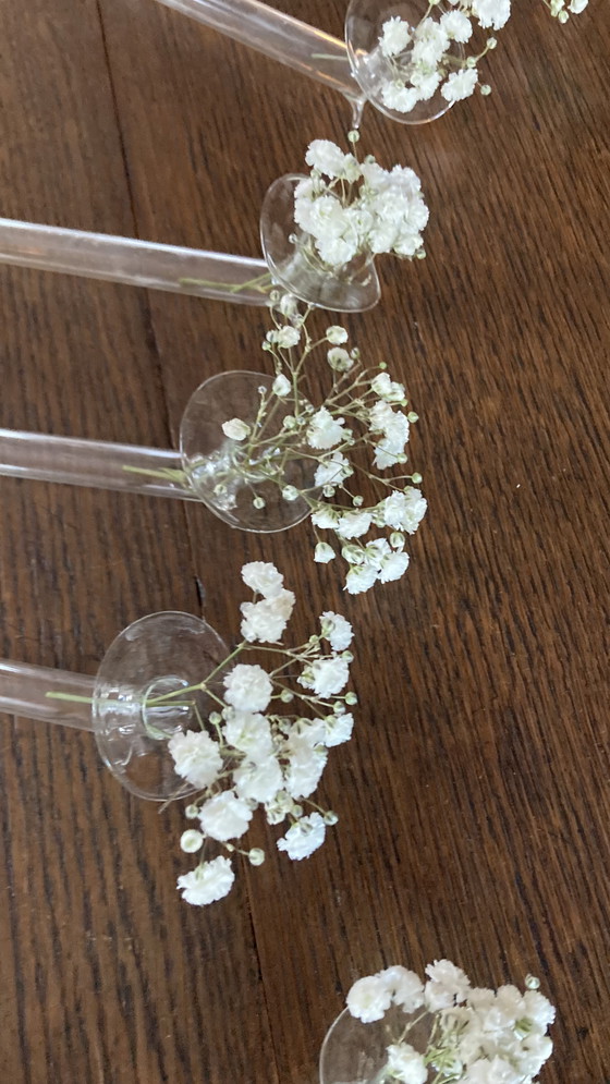 Image 1 of Vasi in vetro con gambe sottili e sottili