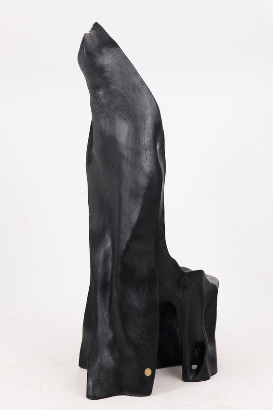 Image 1 of Fauteuil trône en bois noir carbonisé aux formes organiques par Logniture