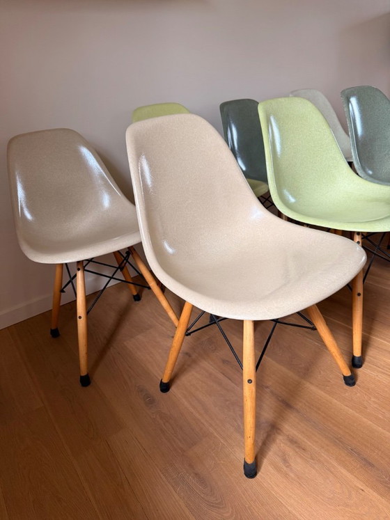 Image 1 of Eames Chair Fiberglas-Esszimmerstühle (8)