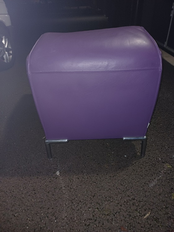 Image 1 of Monty van Bert Plantagie