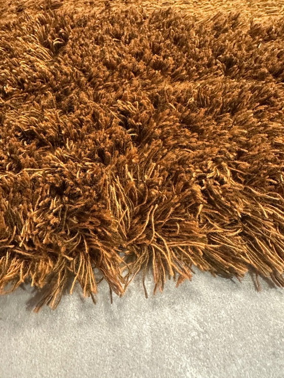 Image 1 of Brink en Campman Shade High Umber Tobac Rug 11903 190 x 300 cm