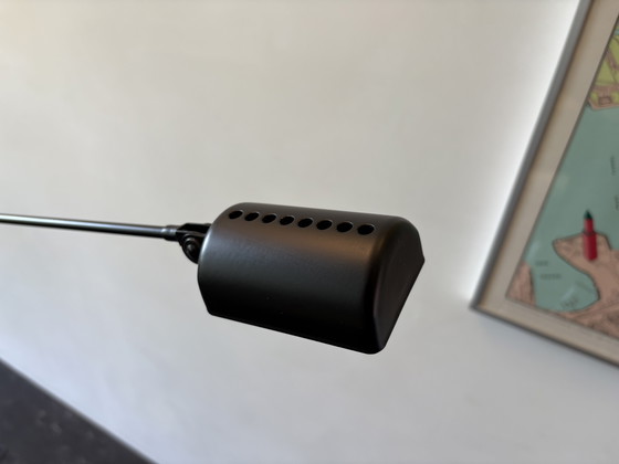 Image 1 of Lumina Daphine Terra Classic Black