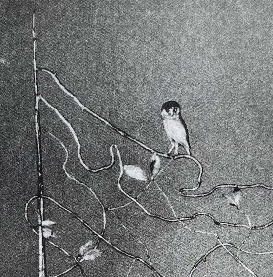 Image 1 of Claude Lalanne, Lit Bou, Heliogravure