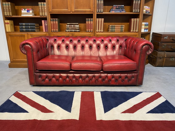 Chesterfield 3+2 Zit Bankstel Oxblood Rood – winchter, Banken, Leather (photo 4 of 7)