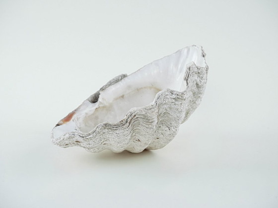 Image 1 of Conchiglia decorativa Tridacna, stile boho, anni '80