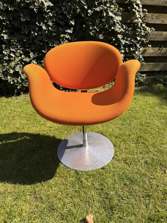 Image 1 of Little tulip Artifort (orange)