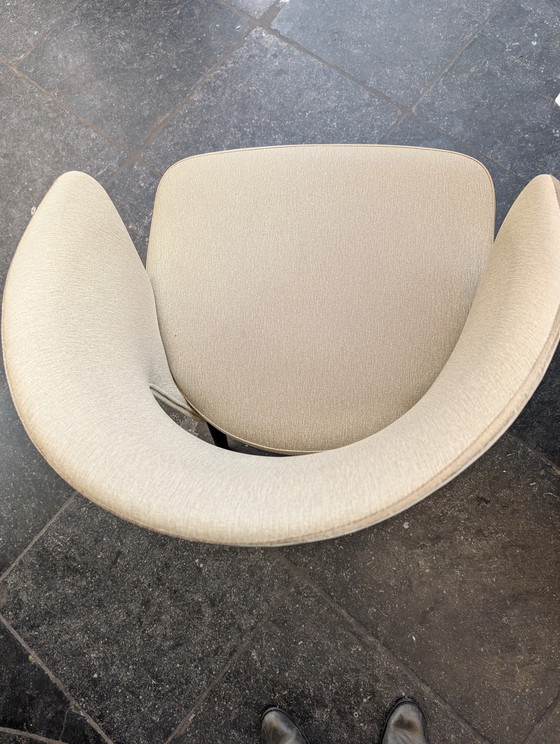 Image 1 of Satellite dining chairs